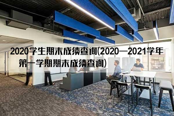 2020学生期末成绩查询(2020—2021学年度第一学期期末成绩查询)